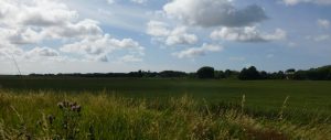 Little Altcar Countryside
