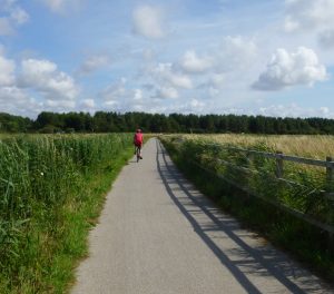 Little Altcar countryside